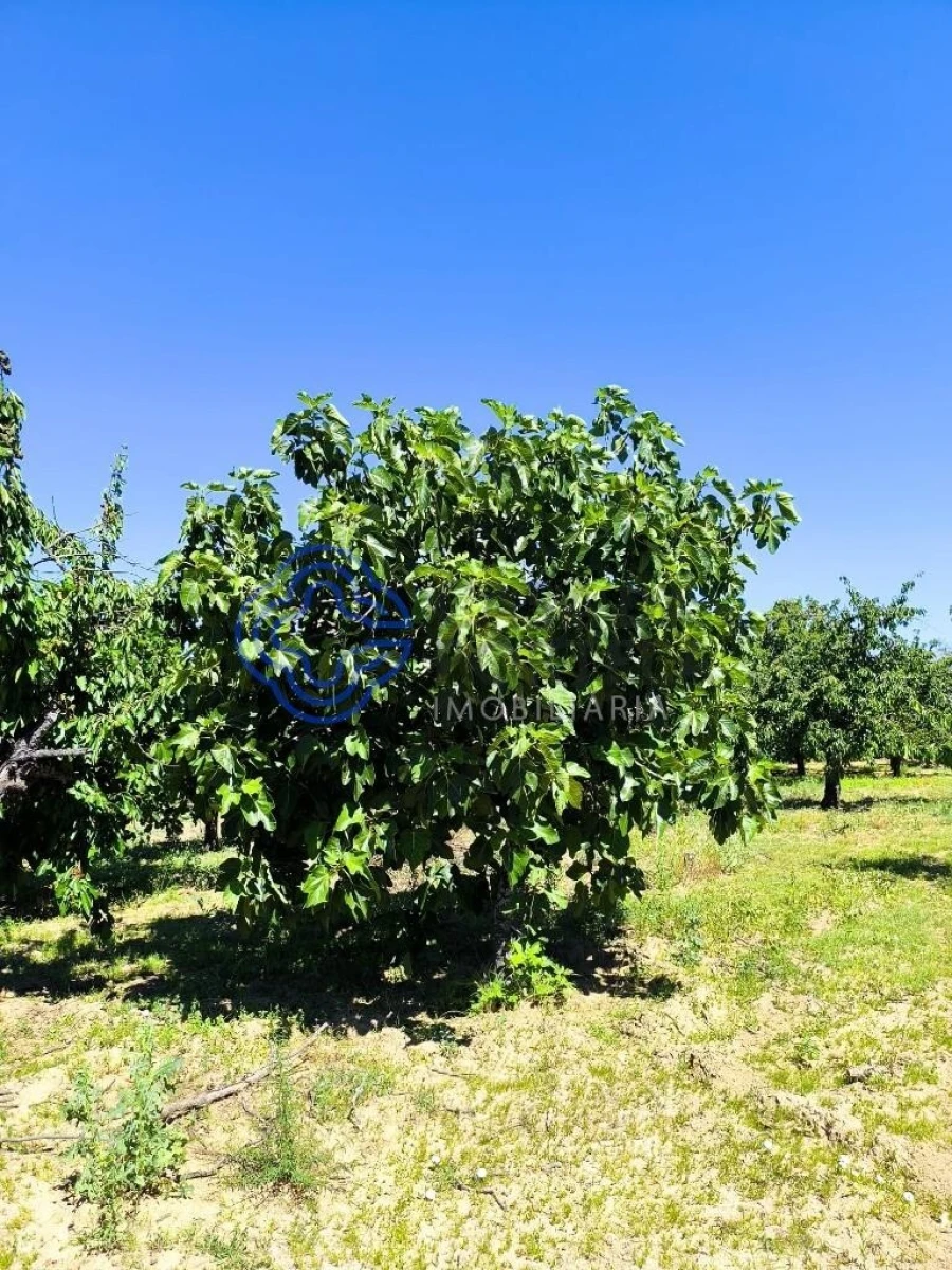 Terreno para Venda em Três Povos Foto 27