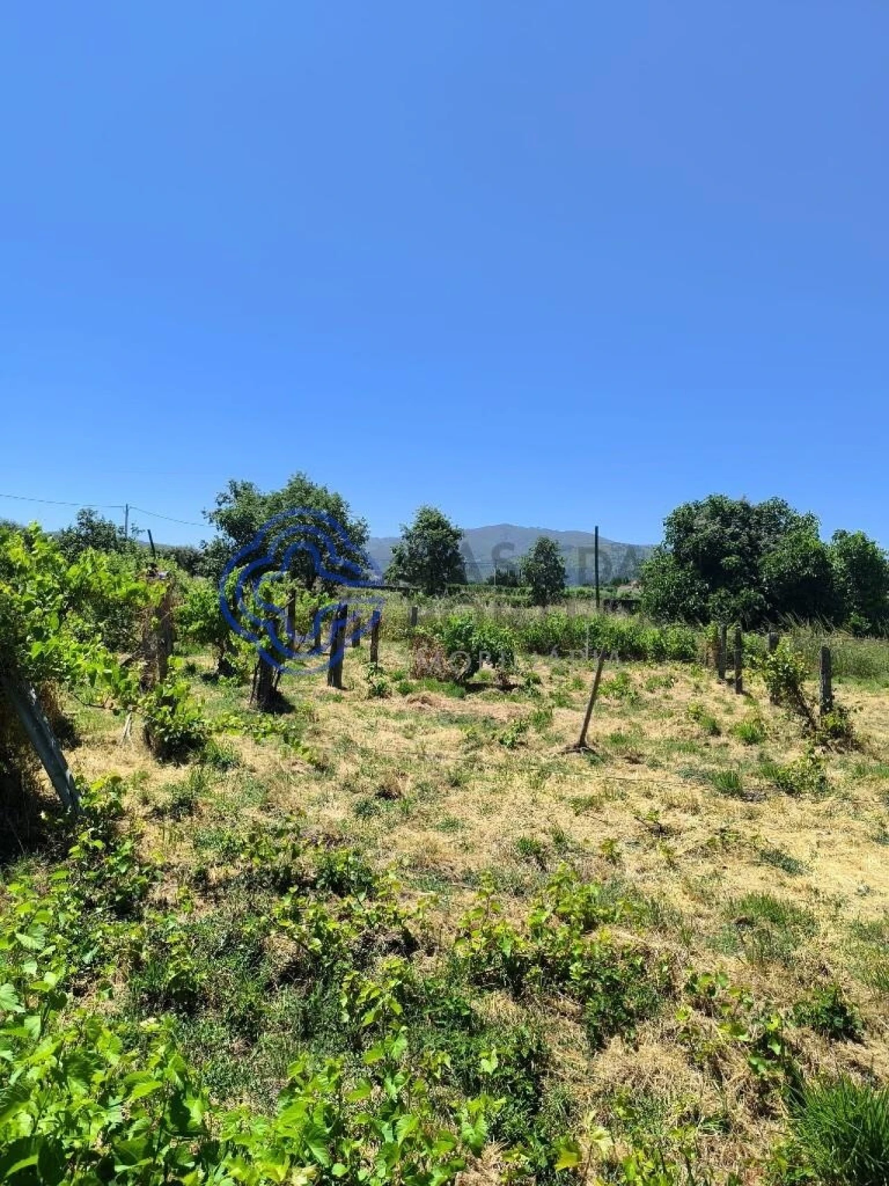 Terreno para Venda em Três Povos Foto 3
