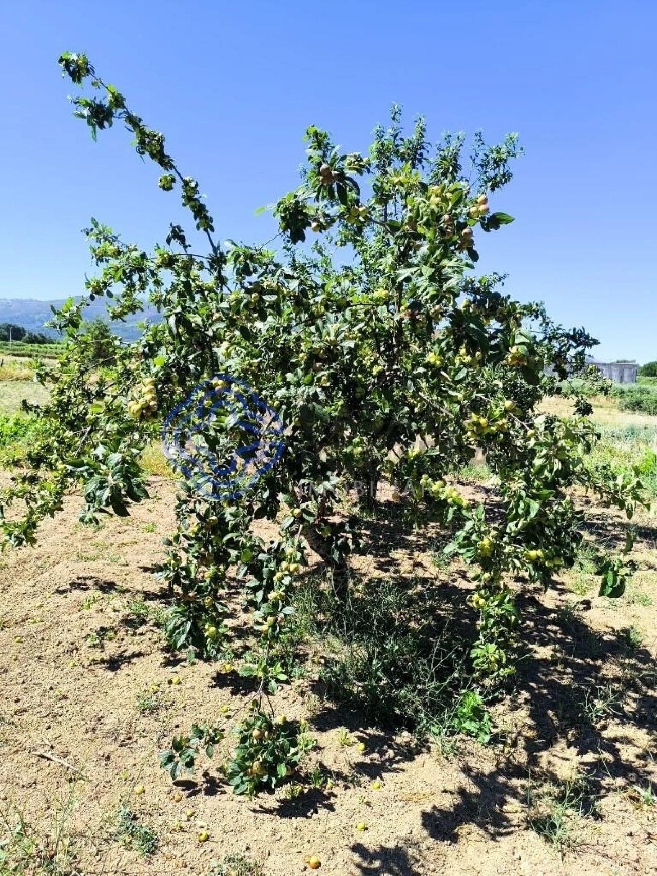 Terreno para Venda em Três Povos Foto 23