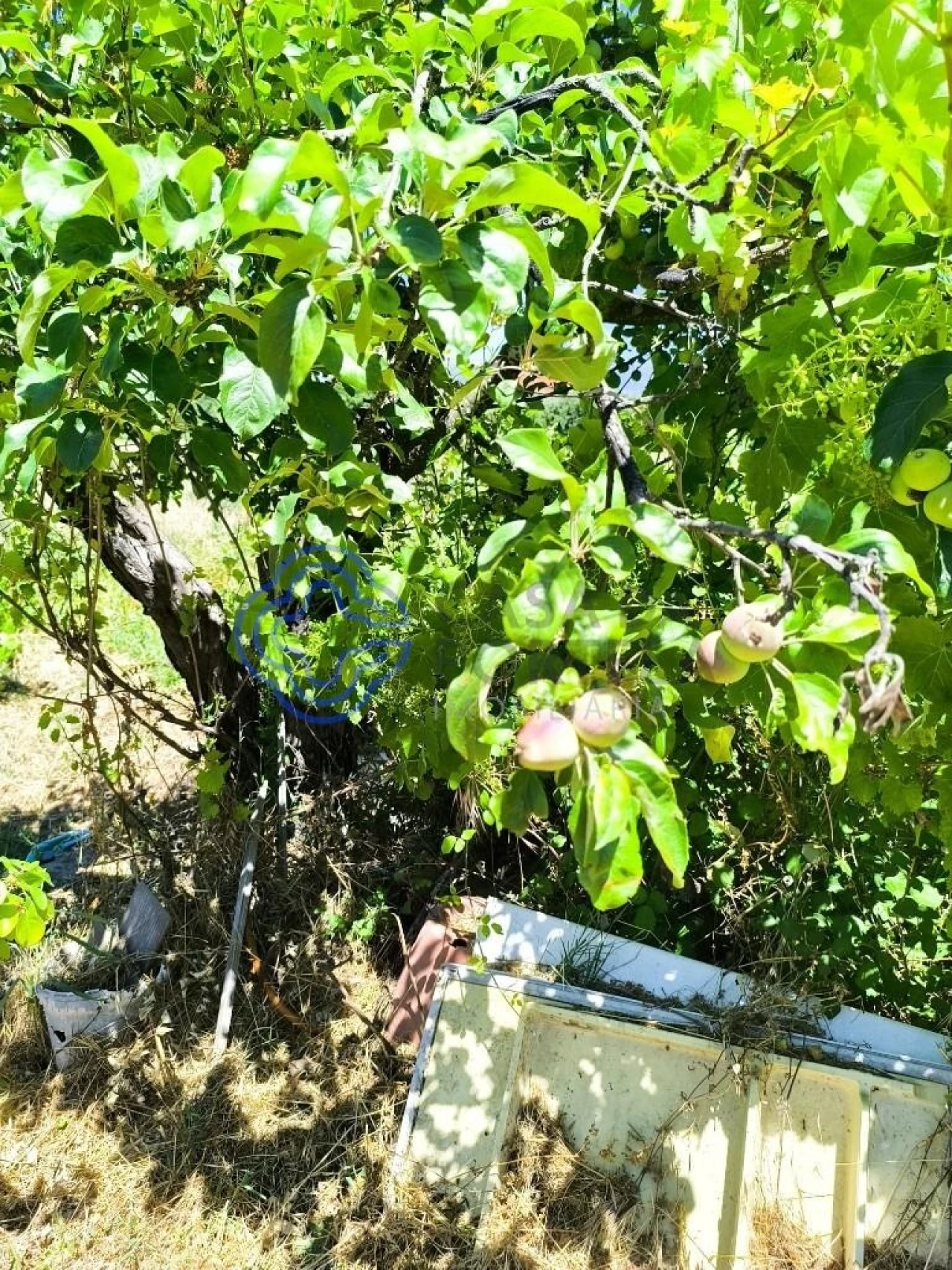 Terreno para Venda em Três Povos Foto 9