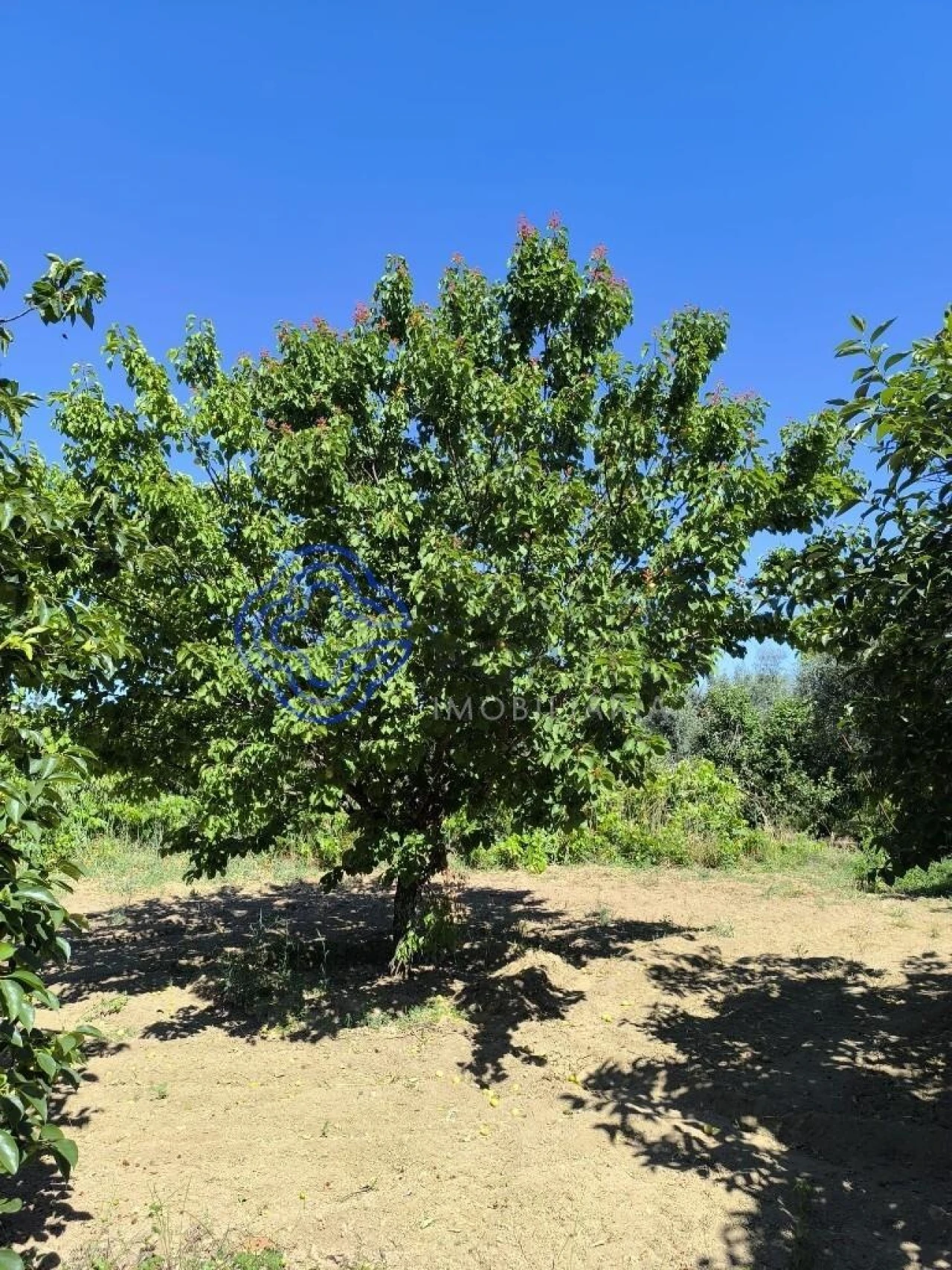 Terreno para Venda em Três Povos Foto 24
