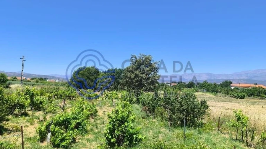 Terreno para Venda em Três Povos