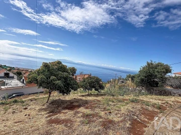 Terreno para Venda em Santa Cruz