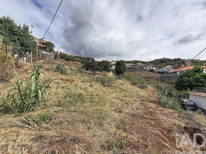 Terreno para Venda em Santa Cruz Foto 6