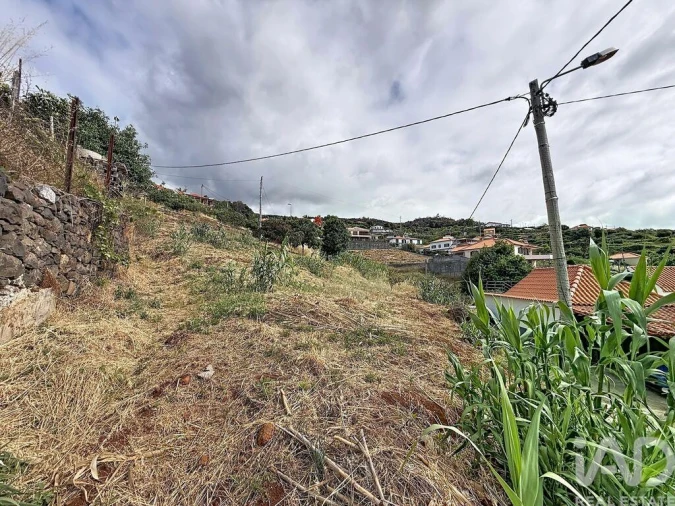 Terreno para Venda em Santa Cruz Foto 5