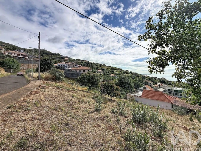 Terreno para Venda em Santa Cruz Foto 3