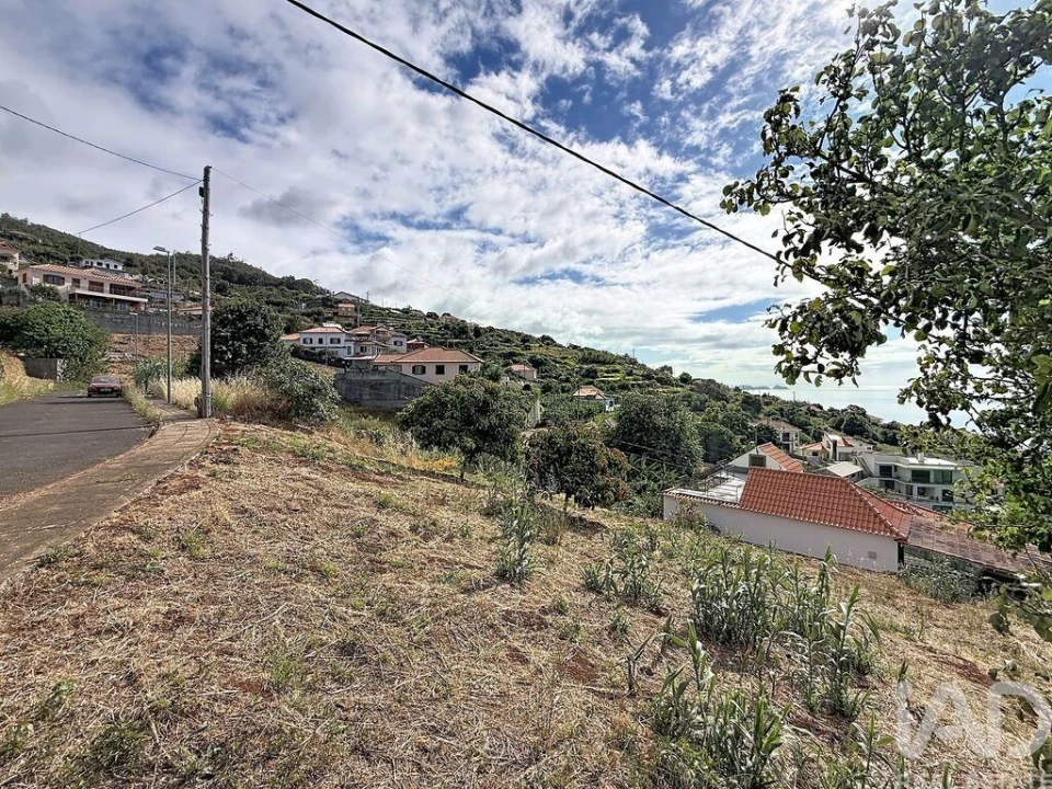Terreno para Venda em Santa Cruz Foto 3