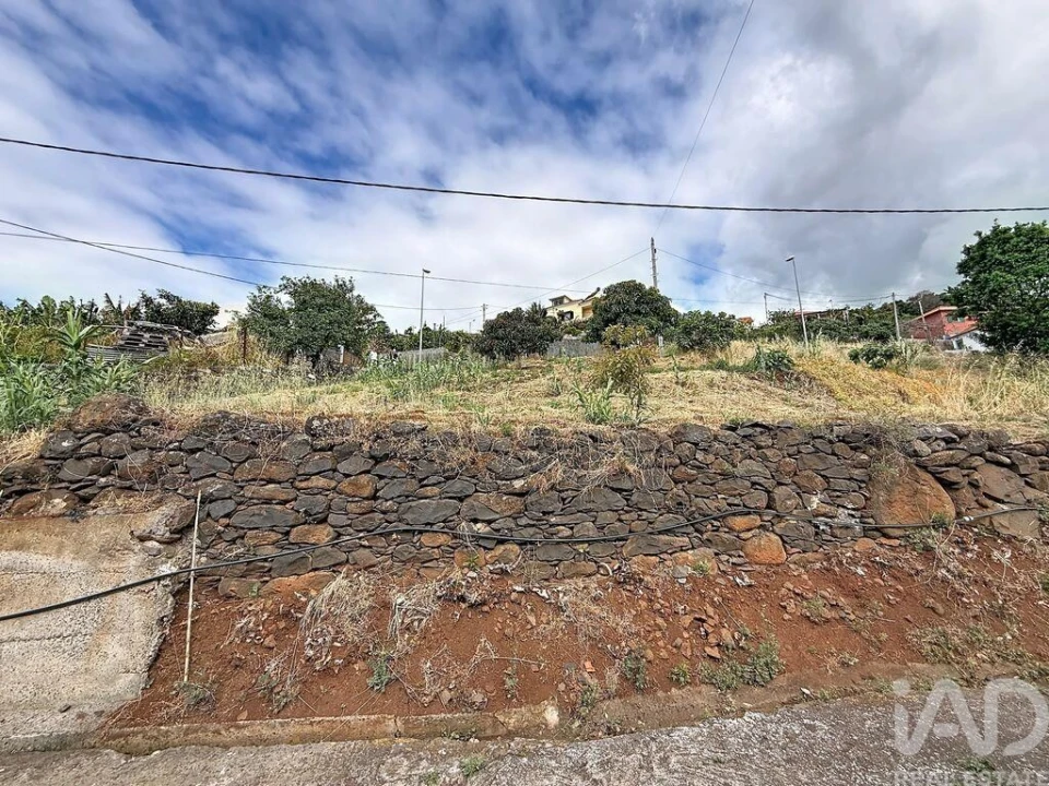 Terreno para Venda em Santa Cruz Foto 4