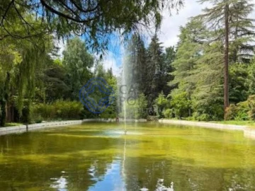 Terreno para Venda em Bornes de Aguiar