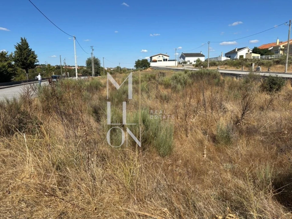 Terreno para Venda em Vilar Formoso Foto 3