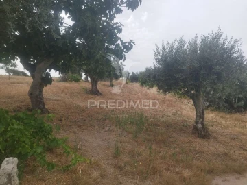 Terreno para Venda em Espírito Santo, Nossa Senhora da Graça e São Simão