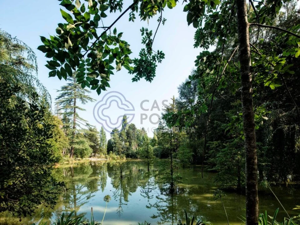 Terreno para Venda em Bornes de Aguiar Foto 20