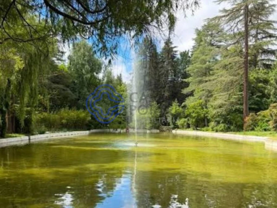 Terreno para Venda em Bornes de Aguiar Foto 19