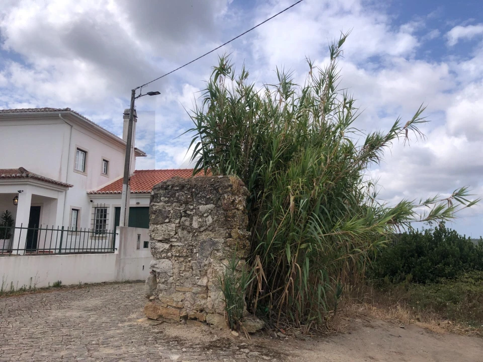 Moradia T5 para Venda em Maxial e Monte Redondo Foto 10