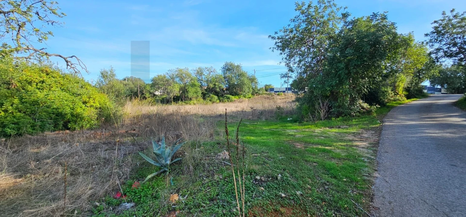 Terreno para Venda em Almancil Foto 9