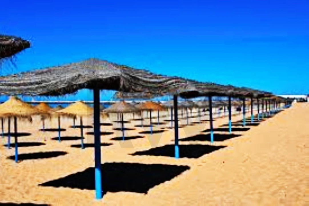 Negócio para Venda em Quarteira Foto 4