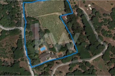 Quinta T6 para Venda em Azeitão (São Lourenço e São Simão)