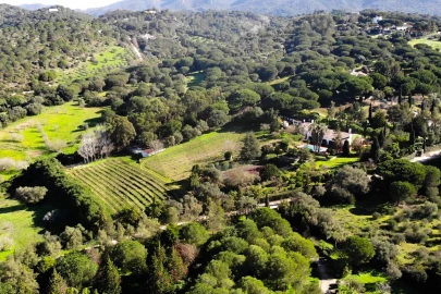 Quinta T6 para Venda em Azeitão (São Lourenço e São Simão)