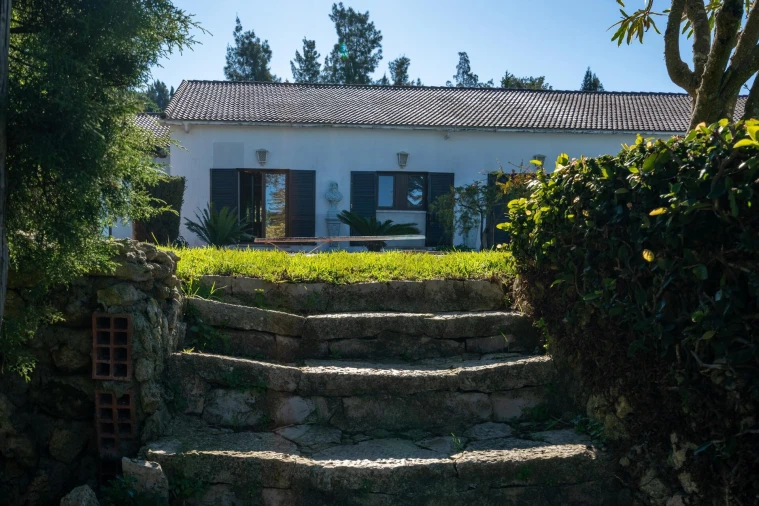 Quinta T6 para Venda em Azeitão (São Lourenço e São Simão) Foto 7