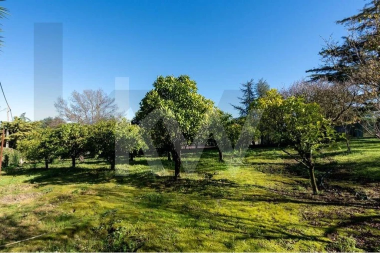 Quinta T6 para Venda em Azeitão (São Lourenço e São Simão) Foto 22
