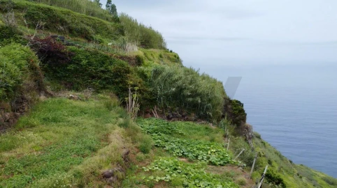 Terreno para Venda em Porto Moniz