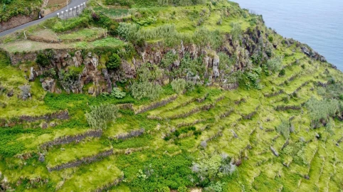 Terreno para Venda em Porto Moniz