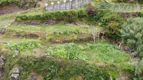 Terreno para Venda em Porto Moniz