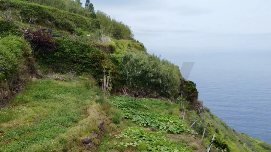 Terreno para Venda em Porto Moniz Foto 8