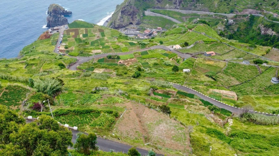 Terreno para Venda em Porto Moniz Foto 5