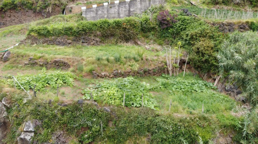 Terreno para Venda em Porto Moniz Foto 15