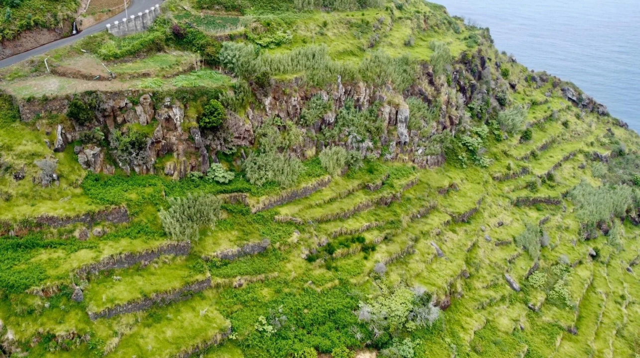 Terreno para Venda em Porto Moniz Foto 10