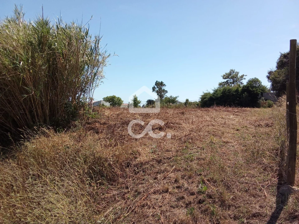 Terreno para Venda em Carvalhal Foto 8