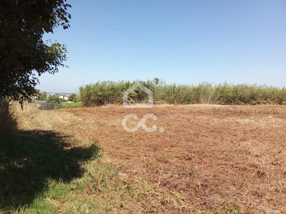 Terreno para Venda em Carvalhal Foto 6