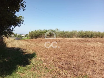Terreno para Venda em Carvalhal