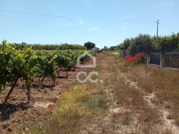 Terreno para Venda em Carvalhal