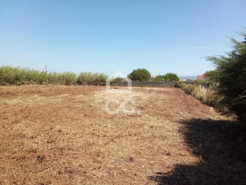 Terreno para Venda em Carvalhal