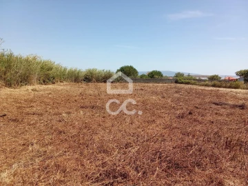 Terreno para Venda em Carvalhal