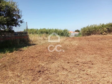 Terreno para Venda em Carvalhal