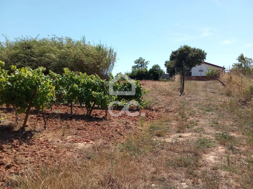 Terreno para Venda em Carvalhal Foto 10