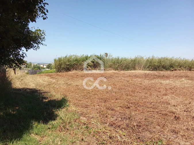 Terreno para Venda em Carvalhal Foto 6