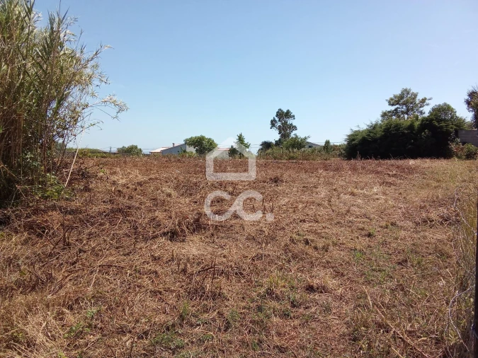 Terreno para Venda em Carvalhal Foto 7