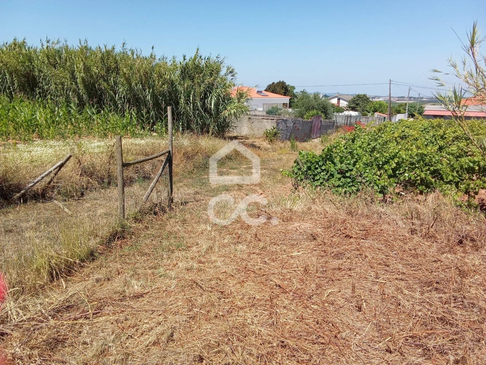 Terreno para Venda em Carvalhal Foto 9