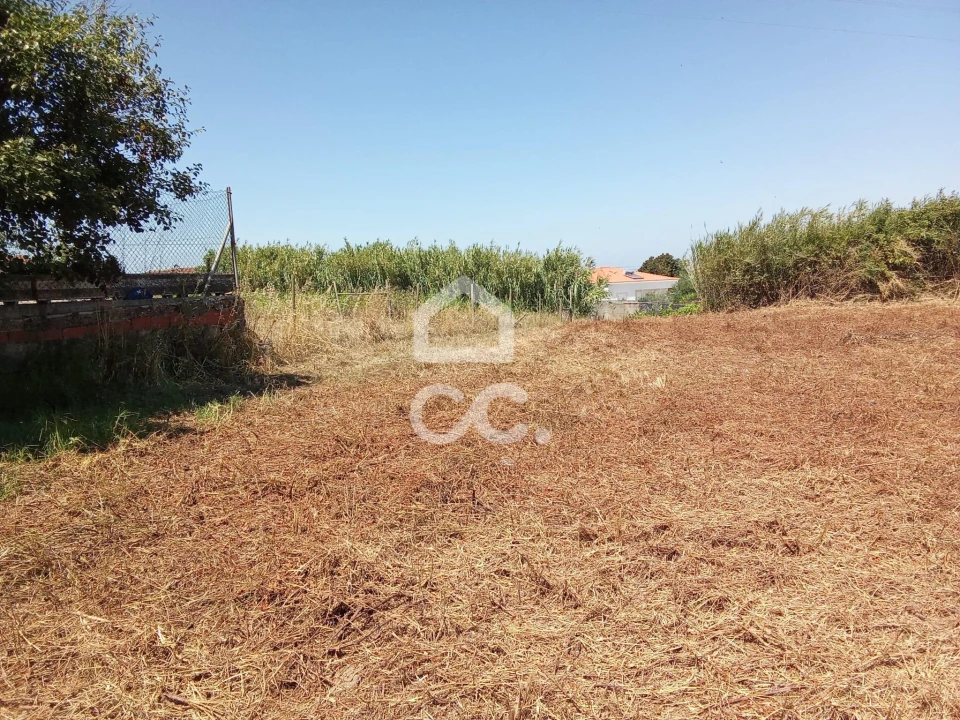 Terreno para Venda em Carvalhal Foto 5
