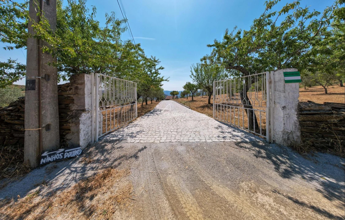 Terreno para Venda em Vila Nova de Foz Côa Foto 27