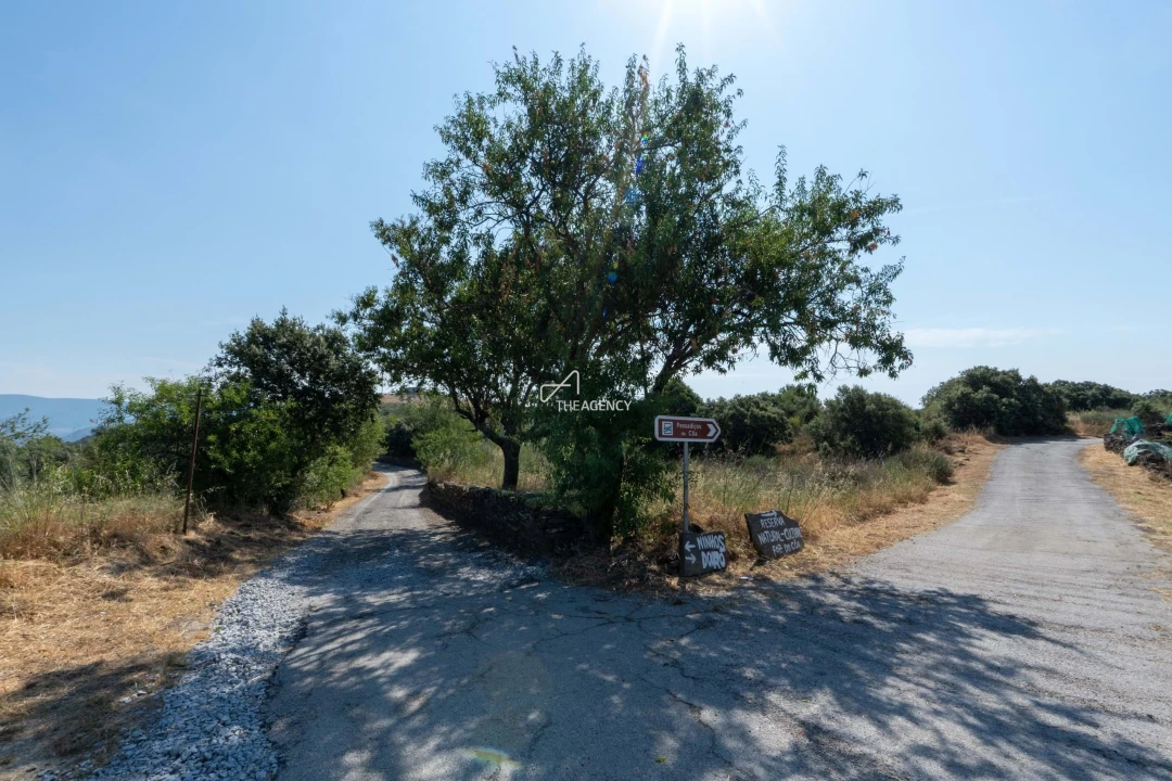 Terreno para Venda em Vila Nova de Foz Côa Foto 8