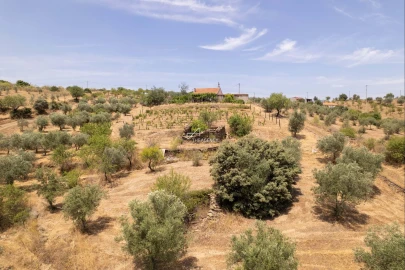 Terreno para Venda em Vila Nova de Foz Côa