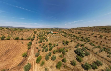 Terreno para Venda em Vila Nova de Foz Côa