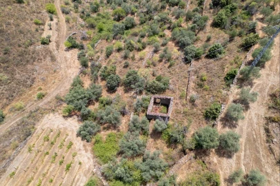 Terreno para Venda em Vila Nova de Foz Côa