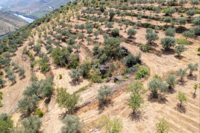 Terreno para Venda em Vila Nova de Foz Côa