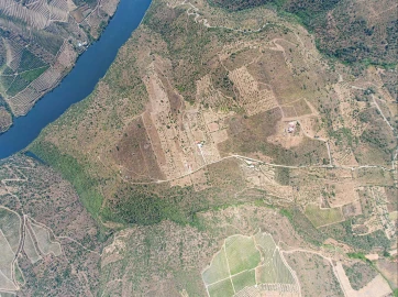 Terreno para Venda em Vila Nova de Foz Côa
